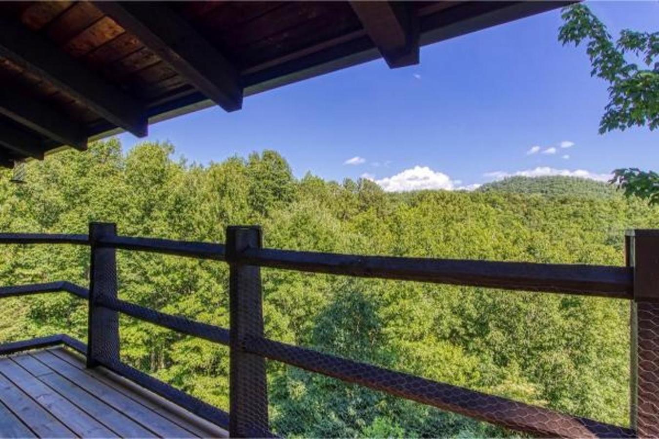 New! Haven Peaceful Retreatgorgeous Viewspool! Villa Sevierville Buitenkant foto
